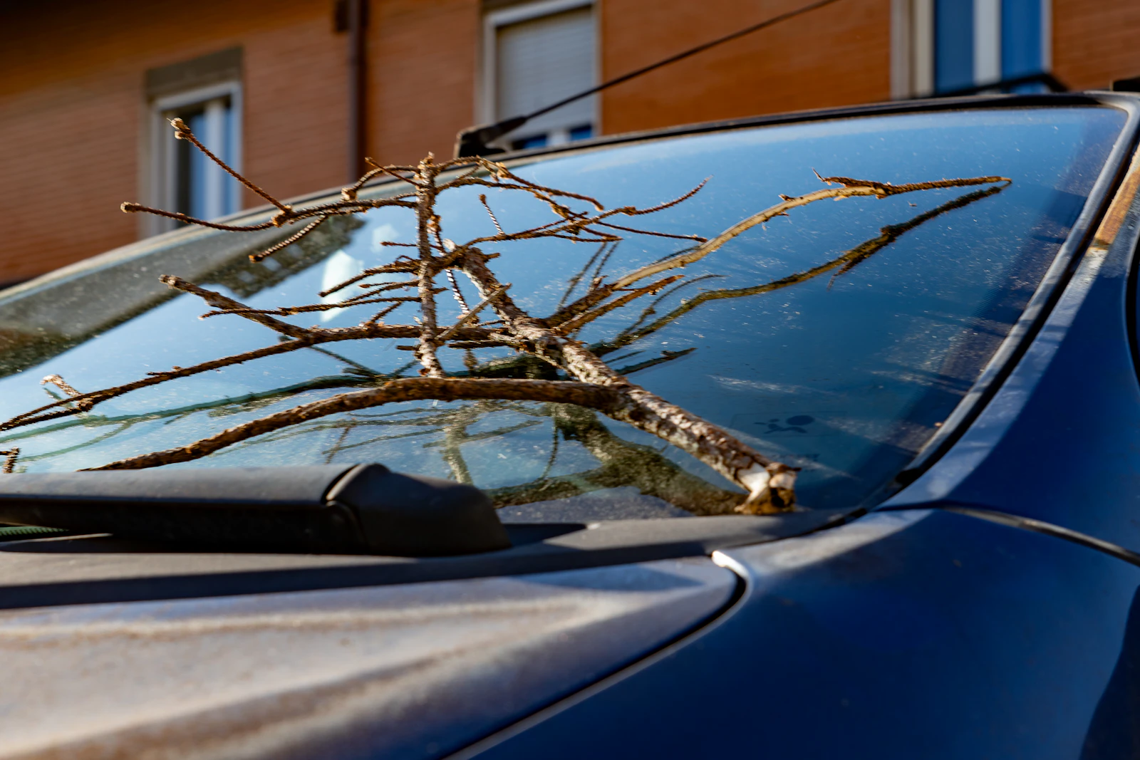 Bullseye chip in vehicle glass