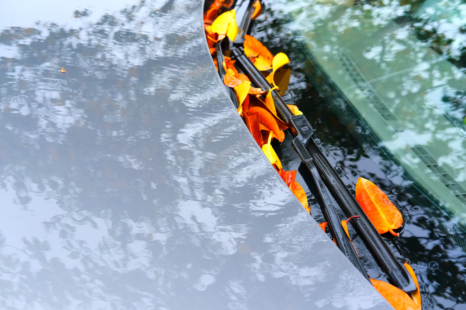 Edge crack in vehicle glass
