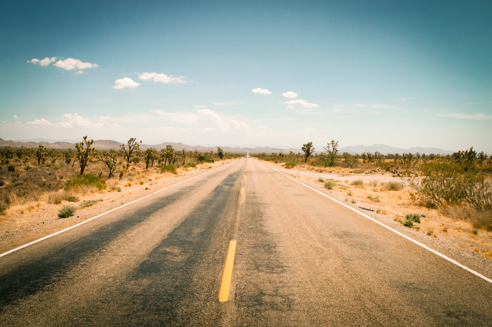Does Tennessee waive the windshield deductible?